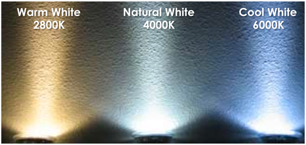  Cool White Flashlight and Neutral White Flashlight Comparison