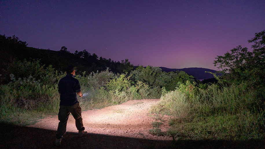 Arkfeld Pro White Light Led